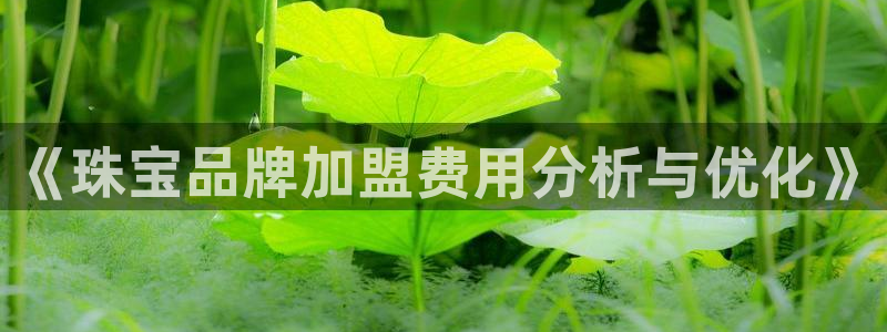 新宝5登录测速中心：《珠宝品牌加盟费用分析与优化》