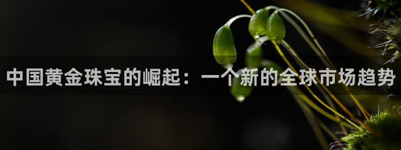 新宝5开户：中国黄金珠宝的崛起：一个新的全球市场趋势