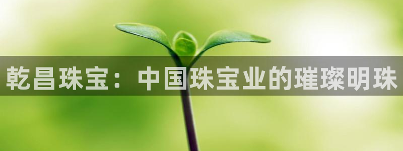 新宝娱乐5入口：乾昌珠宝：中国珠宝业的璀璨明珠