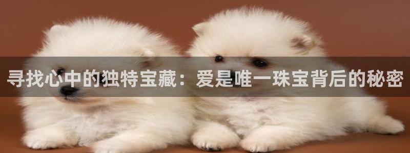 新宝5注册首页：寻找心中的独特宝藏：爱是唯一珠宝背后的秘密