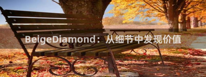 新宝5登录入口网址：BeigeDiamond：从细节中发现价值