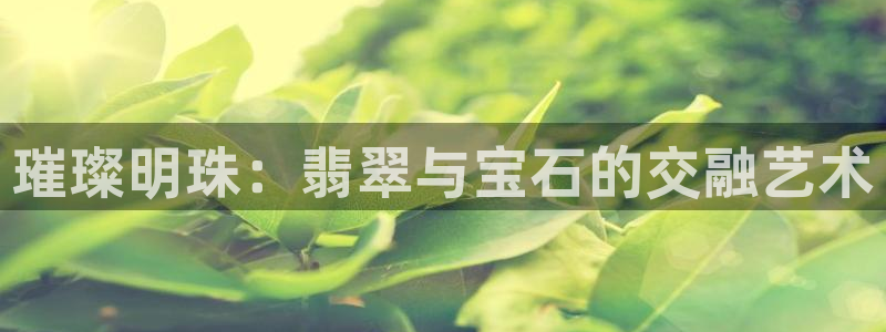 新宝5app：璀璨明珠：翡翠与宝石的交融艺术