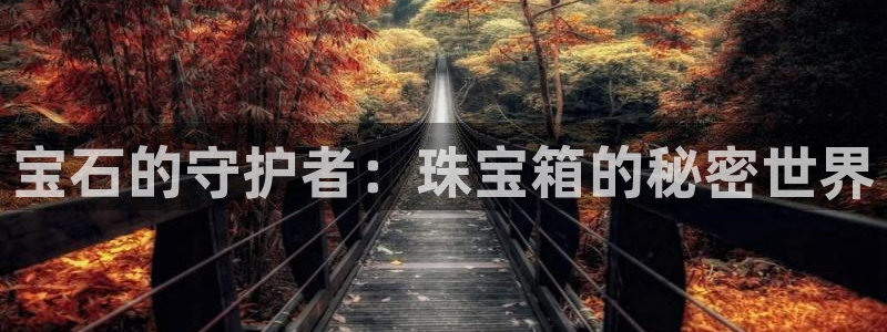 新宝5系列：宝石的守护者：珠宝箱的秘密世界