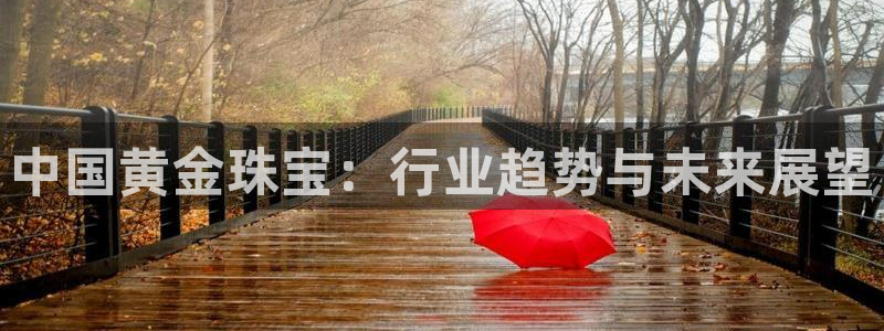 新宝5官网：中国黄金珠宝：行业趋势与未来展望