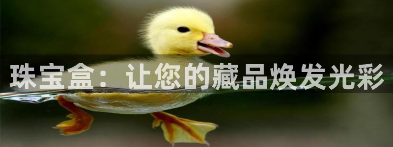 新宝奇迹GG5：珠宝盒：让您的藏品焕发光彩