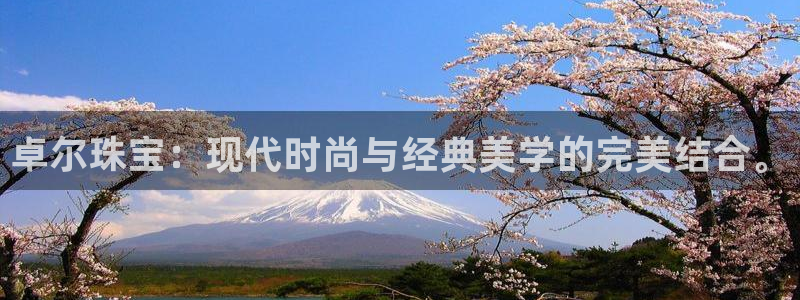 新宝5注册链接：卓尔珠宝：现代时尚与经典美学的完美结合。