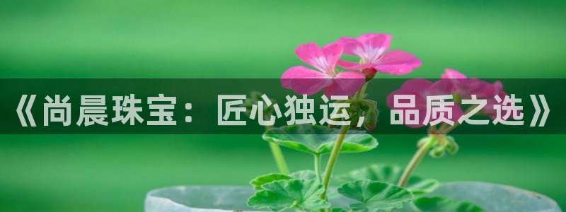 新宝6霸哥5：《尚晨珠宝：匠心独运，品质之选》