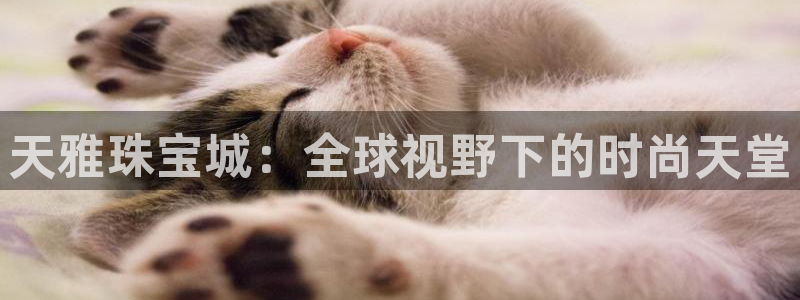 新宝5巅峰：天雅珠宝城：全球视野下的时尚天堂
