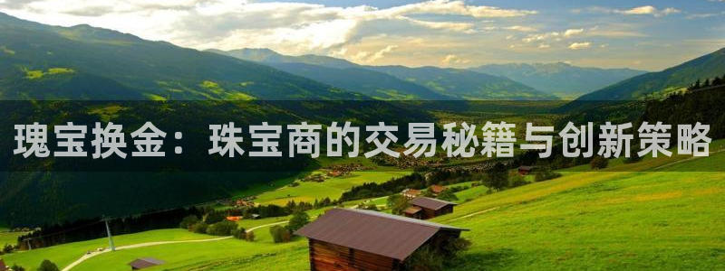 新宝5娱乐手机登录：瑰宝换金：珠宝商的交易秘籍与创新策略