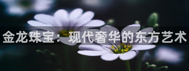 新宝5登录注册：金龙珠宝：现代奢华的东方艺术