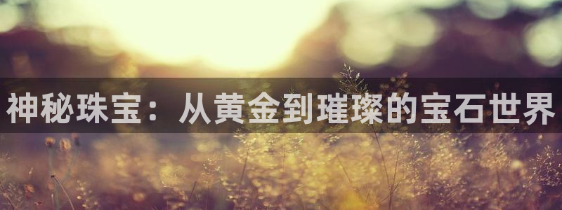 新宝5测试：神秘珠宝：从黄金到璀璨的宝石世界