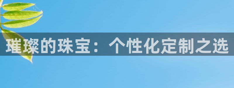 新宝5测速下载：璀璨的珠宝：个性化定制之选