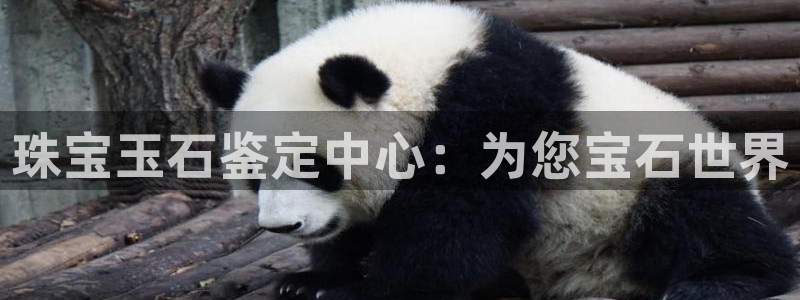 新宝5娱乐主管：珠宝玉石鉴定中心：为您宝石世界