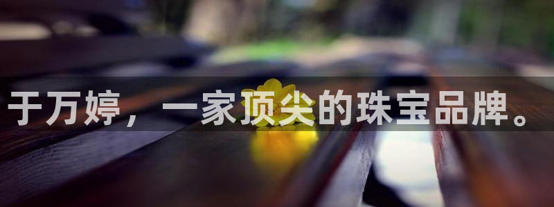 新宝rm5：于万婷，一家顶尖的珠宝品牌。