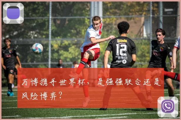 万博携手世界杯，是强强联合还是风险博弈？
