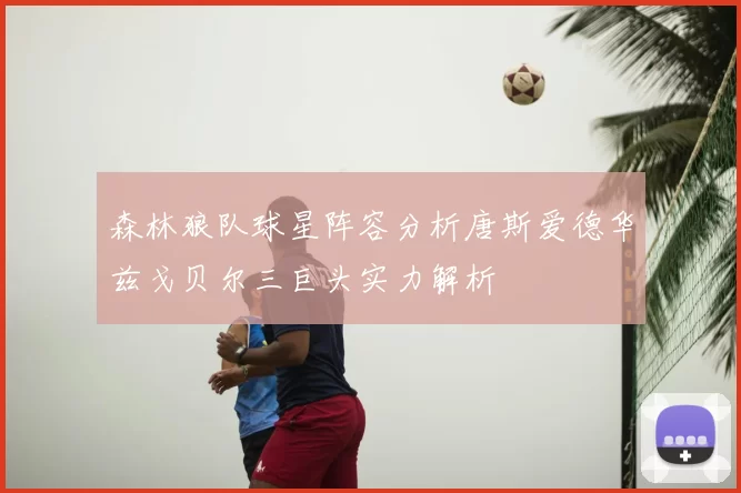 森林狼队球星阵容分析唐斯爱德华兹戈贝尔三巨头实力解析