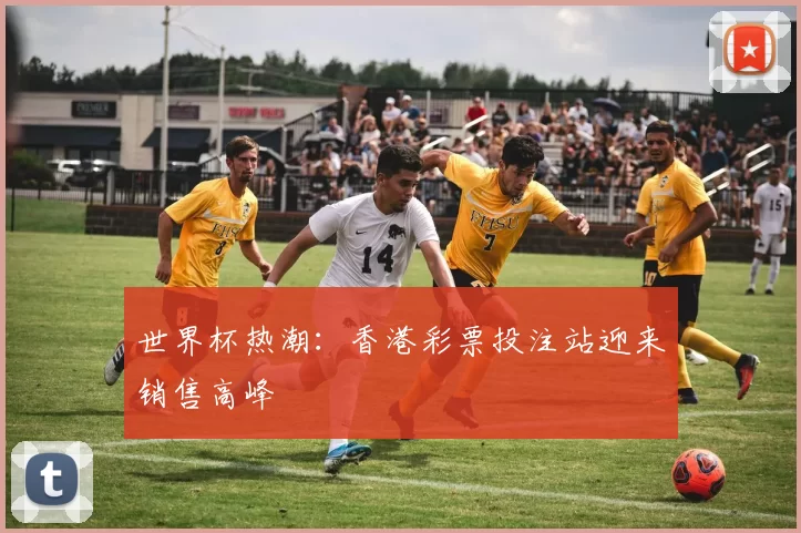 世界杯热潮:香港彩票投注站迎来销售高峰