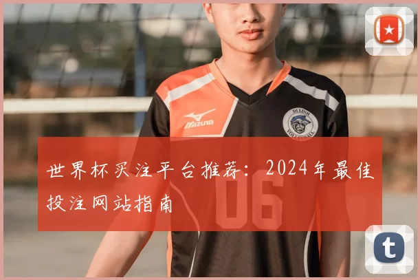 世界杯买注平台推荐:2024年最佳投注网站指南