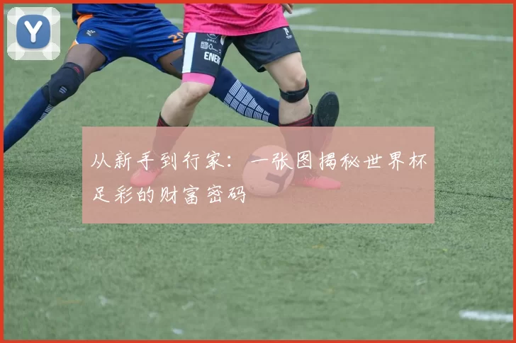 从新手到行家：一张图揭秘世界杯足彩的财富密码
