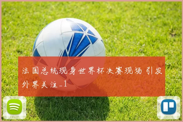 法国总统现身世界杯决赛现场 引发外界关注_1