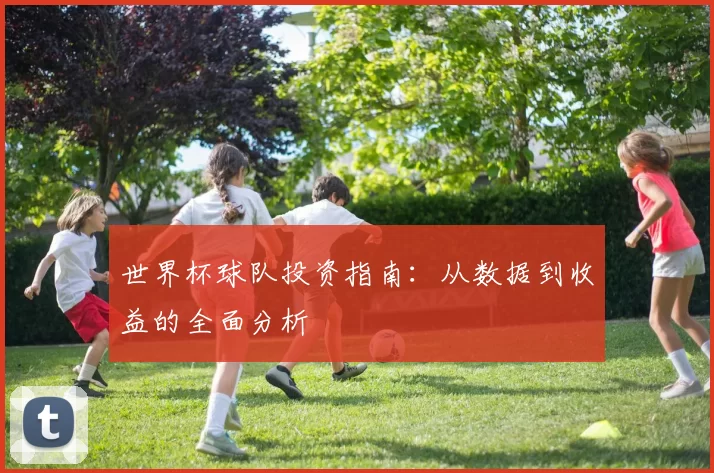 世界杯球队投资指南:从数据到收益的全面分析