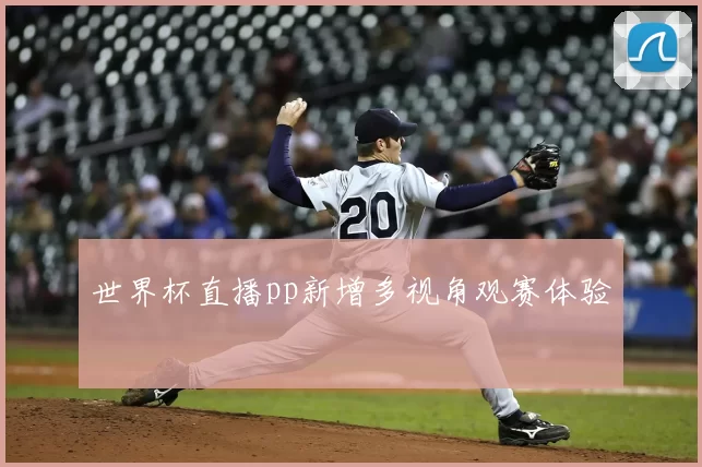 世界杯直播pp新增多视角观赛体验