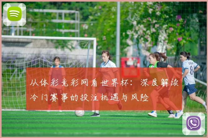 从体彩竞彩网看世界杯:深度解读冷门赛事的投注机遇与风险