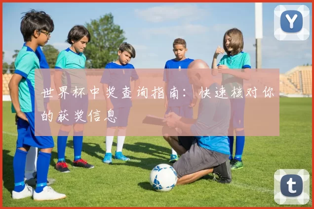 世界杯中奖查询指南：快速核对你的获奖信息